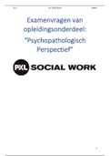 Examenvragen tweedejaarsvakken PXL- Sociaal Werk: Sociologie, Verkennen v/h werkveld & Psychopathologie 
