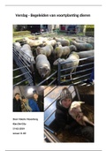 Paraveterinair, schapenproject verslag