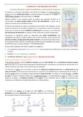 Tema 7. Absorció i metabolisme del nitrat