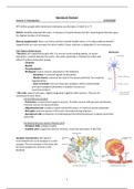 HNH-31706 Nutrition and the Brain Lecture Summary 2020