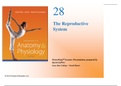 The Reproductive System Lecture PPT