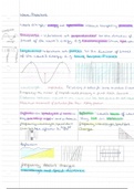 GCSE Physics revison notes/ guide