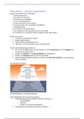Management & Organisatie - Samenvatting hoorcollege - Jaar 2 - Tentamenstof periode 3 - ORM