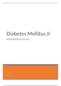 Profielwerkstuk Diabetes Mellitus II, Atheneum 6