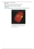 Genetics Brooker summary chapter 16 - Gene regulation in eukaryotes II