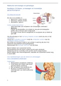 Nieren, urinewegen en mannelijke geslachtsorganen (toets blok 3 zorgcollege)
