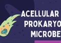 Chapter 4 - Acellular and Prokaryotic Microbes