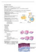 Samenvatting - Fysiologie En Anatomie (PBFG09)
