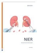 Samenvatting nier1