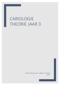 Cariologie theorie jaar 3