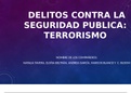 DERECHOS CONTRA LA INTEGRIDAD PUBLICA: TERRORISMO 