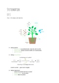 Samenvatting  Plantkunde 1