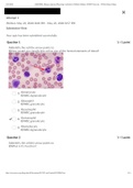 BSC 2086L - Blood, Lymphatic and immunity, Respiratory Anatomy, Circulation &Unit 1  Lab Quizzes.