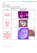 BIO 202 Week 6 Reproductive System Lab Report