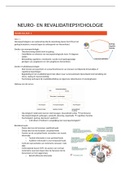 Samenvatting hoorcolleges Neuro- en Revalidatiepsychologie 