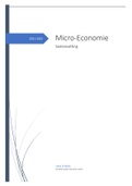 Samenvatting: inleiding tot de micro-economie (15/20 eerste zittijd)