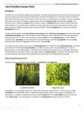 BIOLOGY 1307 Lab #7 - Seedless Vascular Plants/ Complete(Latest 2022)