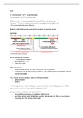 Chapter 5 summarty (lecture notes + information from the book)(Molecular Biology of the Cell)