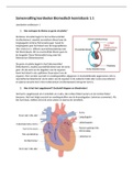Anatomie, fysiologie en pathologie van het cardiovasculair stelsel