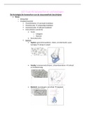 Leerdoelen samenvatting OZT 5 anatomie en algemeen