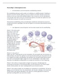 Anatomie & Fysiologie Blok B Optometrie/Orthoptie