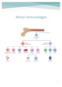 Minor Immunologie: Samenvatting IMM