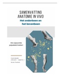 Samenvatting Anatomie in VIVO (leerjaar 1, kwartiel 1) - Het onderbeen en het bovenbeen