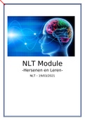 NLT dossier Hersenen & Leren 