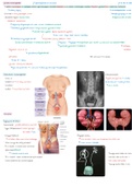 Tractus Urinarius jaar 1 (anatomie en fysiologie)