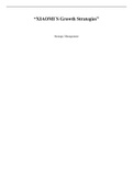 Essay Strategic Management in Different Environments 