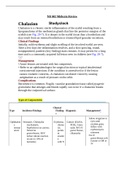 Chamberlain College of Nursing Class notes NR 602 Midterm Review.document