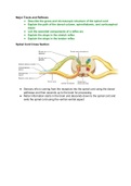 Class notes Anatomy & Physiology (KAAP309) 