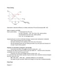 IB Micro - Price Controls (ceiling and floor, indirect tax, subsidies) FULL EXAM REVISION GUIDE - answer outlines to ALL past IB question variations - IB Econ HL 7/7 student
