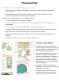 AQA A-Level Biology Topic 5 Photosynthesis Notes. Fully covers spec. A* achieved. 