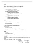 Macroeconomics 2 lecture notes and course summary
