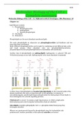 molecular_biology_of_the_cell_2_complete_summary.2022.pdf