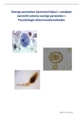 Overige parasieten samenvatting praktijk blok 1 minor Medische Microbiologie