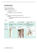 Anatomie samenvatting artrologie 