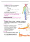 Fysiotherapeutisch Neurologisch onderzoek -Fontys Fysiotherapie 