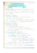 Immunology notes