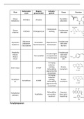 Samenvatting structuren & latijnse namen farmaceutische biologie