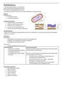 Samenvatting bacteriologie en serologie DEEL 3
