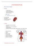 Studieroute 5: Anatomie van het uitscheidingsstelsel