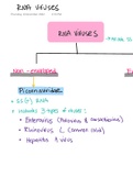  RNA viruses