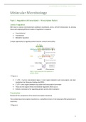 Summary  Molecular Microbiology (4012687ENR)