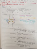 BIOL 244 A&P1 Summary of the Bone, Integumentary, and Joint System