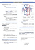 Apunte de Hipertensión Pulmonar