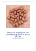 Practicum Bio 5V lengte groei van bruine bonenplant in donker en licht