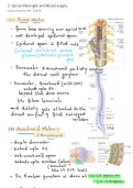 Neuroanatomy - Spinal Meninges and Blood supply