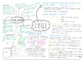Biology Grade 10 Mindmap notes